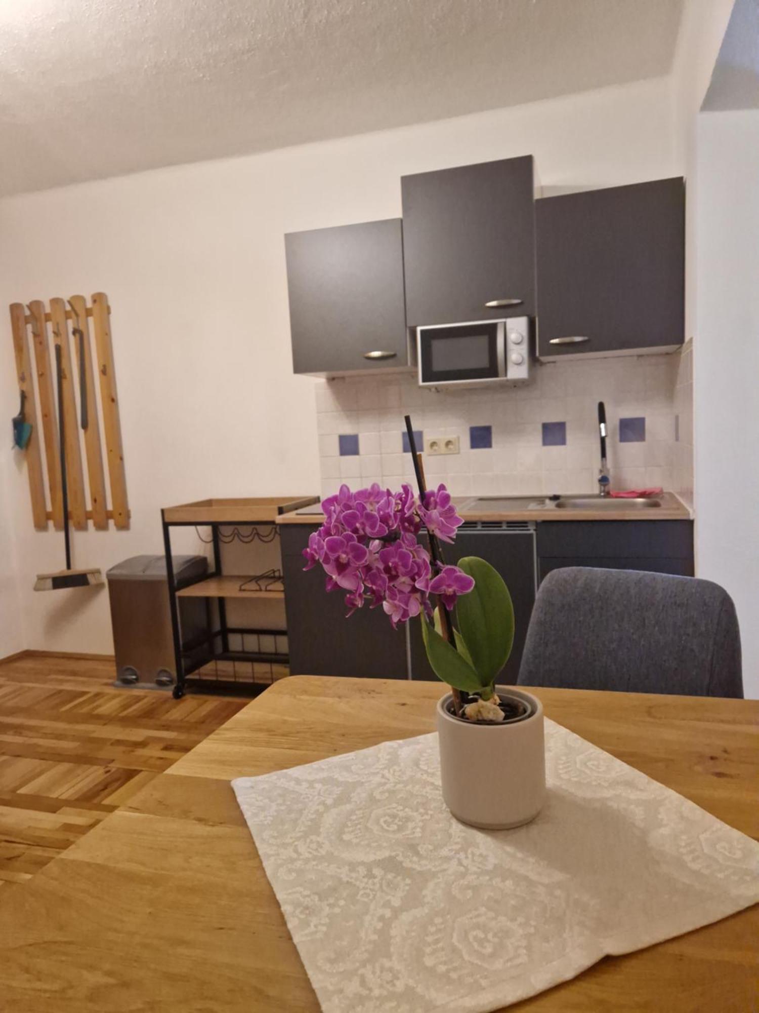 ホテル Haus Rupitsch Winklern  エクステリア 写真