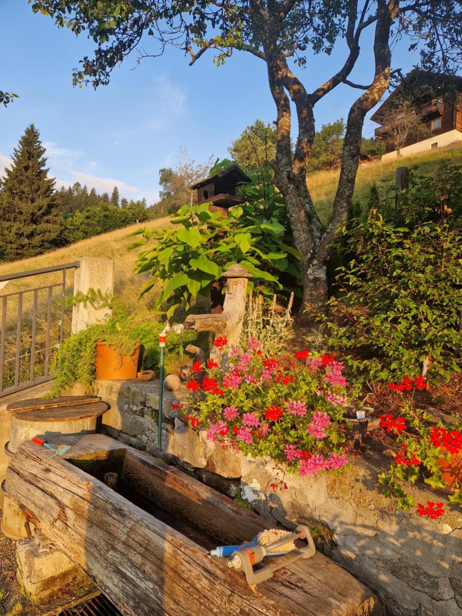 ホテル Haus Rupitsch Winklern  エクステリア 写真